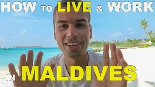 Dream Job? How to Live & Work in Maldives - explained