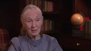 Dame Jane Goodall, Academy Class of 1987, Part 15