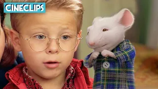 George Meets Stuart For The First Time | Stuart Little | CineClips