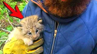 A Canadian found a small abandoned kitten in the forest. A month later, a big surprise awaited him