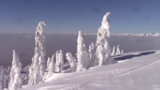 Sledding Blue River - Feb. 2018