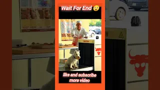 Dog  😲 Meat Grinder Prank ||#shorts #funny #trending #prank