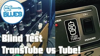 Real Tubes versus Peavey TransTube Blind Test