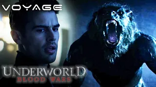 Underworld: Blood Wars | Fighting The Lycan | Voyage