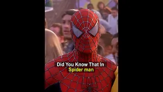 Did You Know That In Spider MAN