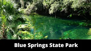 Blue Springs State Park,Florida