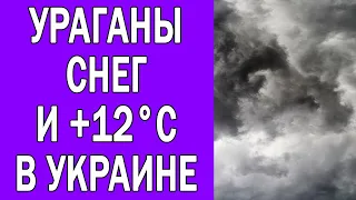 ПОГОДА НА 5 ЯНВАРЯ : ПОГОДА НА ЗАВТРА