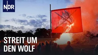 Wolf: Schießen oder schützen? | Doku | NDR | NDR Story