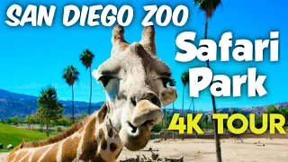 San Diego Zoo Safari Park 4k Walking Tour