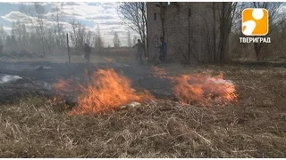 В Тверской области начался сезон лесных пожаров. 2017-05-03