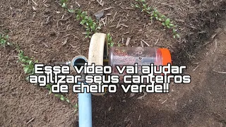 Esse vídeo vai ajudar agilizar seus canteiros de cheiro verde!!