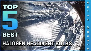Top 5 Best Halogen Headlight Bulbs Review in 2024