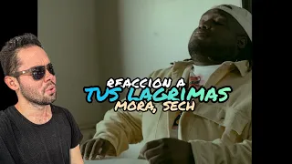 Mora, Sech - TUS LAGRIMAS (Visualizer) MICRODOSIS