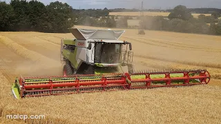 4Kᵁᴴᴰ Harvest 2023: Claas Lexion 8900 TT combine harvester cutting barley in Hintlesham, Suffolk.