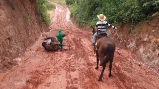 Cavalo caindo em estrada lisa | Freio em cavalo VERSÃO ORIGINAL