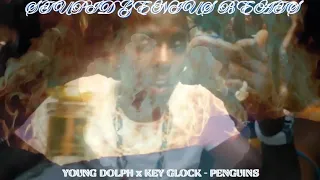 Young Dolph x Key Glock - Penguins (Remix) 2024 (Music Video)