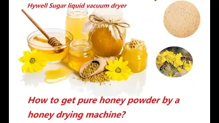 China Hywell Vacuum Honey Dryer, honey powder by honey drying machine?