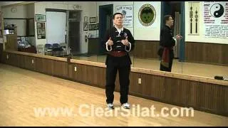 Multiple Attackers - Free Silat Lesson #9