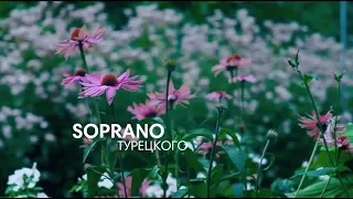 SOPRANO Турецкого - Душа России, шоу голосов