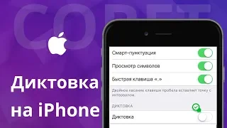 Что такое диктовка, как диктовать на iPhone без опечаток и, какие функции лишние?