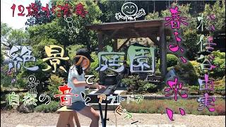 【ストリートピアノ】12歳 　子供たちも大喜び　♪春よ、来い/松任谷由実（絶景の庭園）