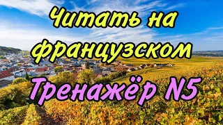 ТРЕНАЖЁР N 5 для самостоятельно обучения | ЧИТАТЬ НА ФРАНЦУЗСКОМ | французский по полочкам