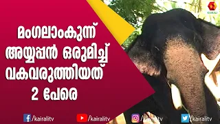 ഇരട്ട കൊലപാതകത്തിന്റെ കലിയാട്ടത്തിൽ  നിന്ന മംഗലാംകുന്ന് അയ്യപ്പൻ | Mangalamkunu Ayyappan | Elephant