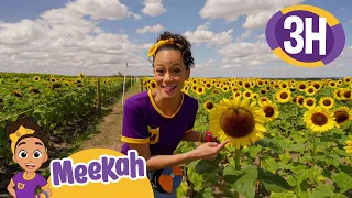 Meekah Welcomes The Spring 🌻 | Blippi Educational Videos For Kids | Moonbug Easter