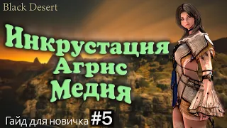 №5 Инкрустация Агрис Пробуда или Наследие Гайд для новичка в Black Desert 2023