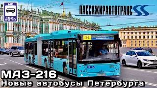 🇷🇺🇧🇾«МАЗ-216». Новые автобусы Санкт-Петербурга | «MAZ-216». New buses in St. Petersburg
