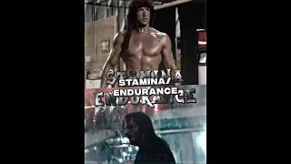 John Rambo VS John Wick #Shorts