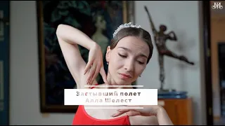 Застывший полёт. Алла Шелест. Немузейные истории