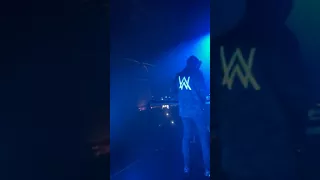 Alan walker live performance