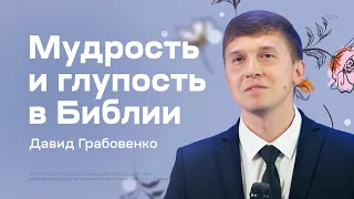 Давид Грабовенко: Мудрость и глупость в Библии (28 мая 2023)