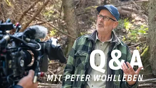 Q&A mit Peter Wohlleben, Holzernte im NSG, Forstmaßnahmen im eigenen Wald, Profit machen im ök. Wald