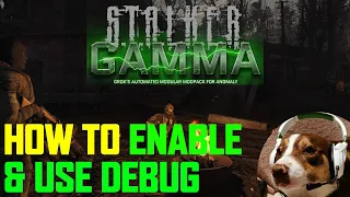 Debug Mode - GAMMA Stalker Mod Pack