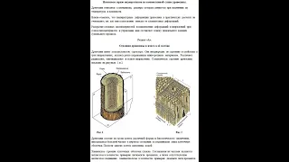 Конвективная сушка древесины. Ч1. Строение древесины и влага в её составе.