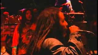 Erykah Badu with Ziggy Marley and The Melody Makers - No More Trouble