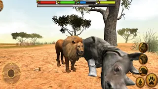 Lion Simulator Game | Lion Hunting Simulator Game | Wild Animal Simulator Lion Vs Tiger Game - #5