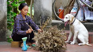 Relaxation and cooking, simple rural life in Vietnam I Am Thuc Me Lam