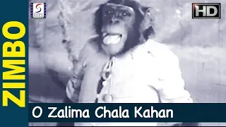 O Zalima Chala Kahan - Mohd Rafi - Zimbo - Agha, Chitra