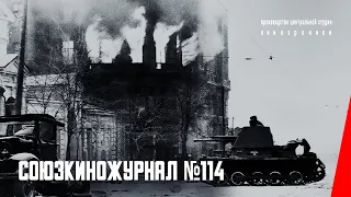 Союзкиножурнал № 114: Освобождение Ростова (1941) документальный фильм