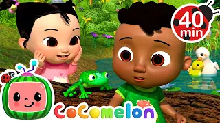 Cody and Cece's Nature Discovery | CoComelon - It's Cody Time | Songs for Kids & Nursery Rhymes