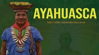 El Yage - Ayahuasca // Entrevista al Taita Cofán Sebastian Descanse  del Putumayo, Colombia