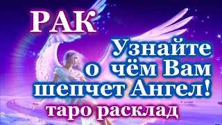 РАК 💌 О ЧЕМ ПРЕДУПРЕЖДАЕТ ВАШ АНГЕЛ-ХРАНИТЕЛЬ 💌 ЭТО ВАЖНО ЗНАТЬ! 💖 ТАРО ПРОГНОЗ ГАДАНИЕ ГОРОСКОП