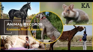 Unbelievable animals in the world | Guinness World Records | Animal facts | Know about