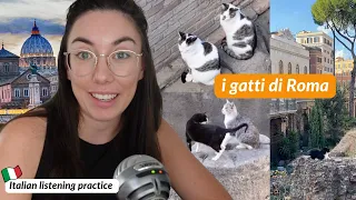 Do you know the most popular cats in Rome? (Italian listening practice) (Subtitles)