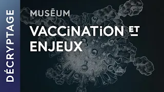 Vaccination et Covid-19 | Web-série Virus