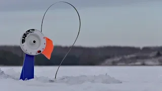 Рыбалка на жерлицы и ловля плотвы и окуня на мормышку. Зимняя рыбалка.