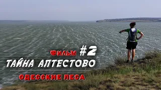 Тайна летнего Алтестово #2 | Долгожданная поездка на велосипеде в Одесские леса  | Посёлок Алтестово